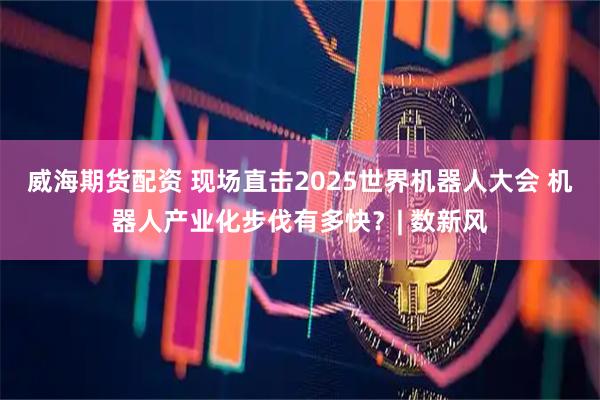 威海期货配资 现场直击2025世界机器人大会 机器人产业化步伐有多快？| 数新风
